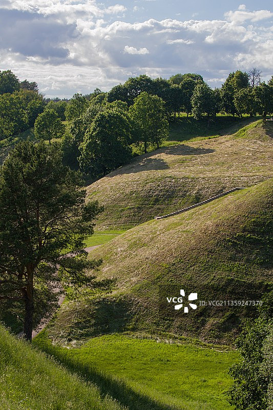 田野上的树木对着天空的风景图片素材