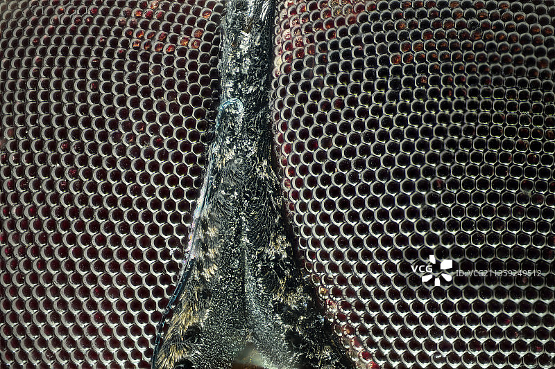 德国汉诺威的金属格栅特写图片素材