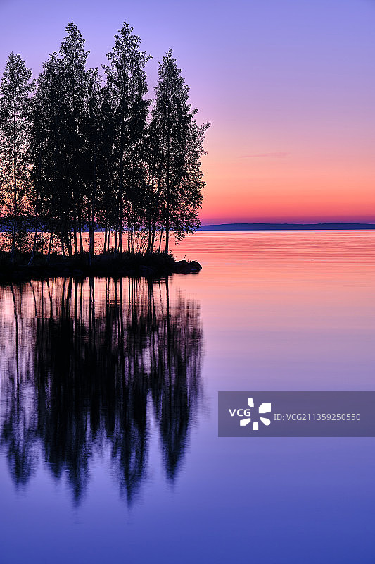 坦佩雷日落时分湖边树木的轮廓图片素材