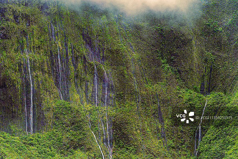 美国夏威夷怀厄莱阿莱森林的壮丽景色图片素材