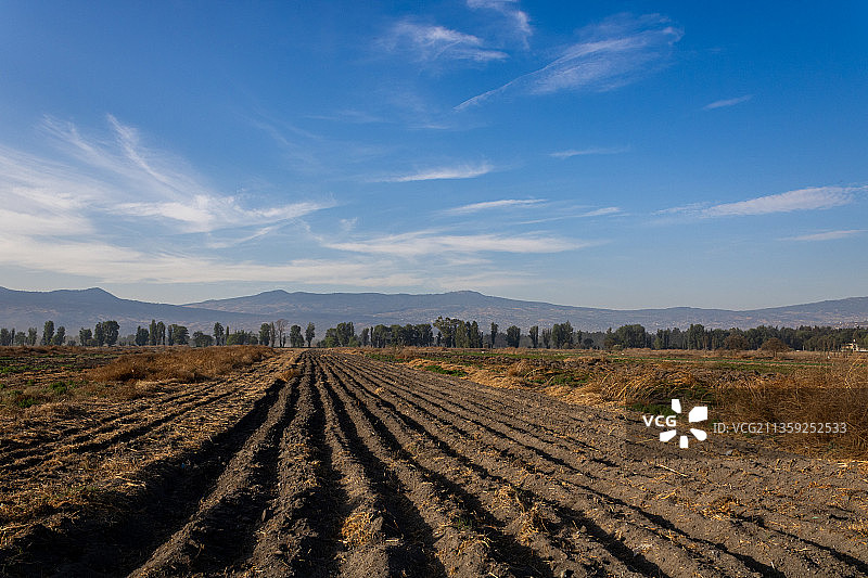墨西哥墨西哥城的田野风光，天空背景图片素材