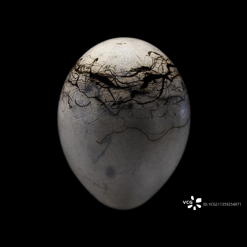 崖鹀的蛋图片素材