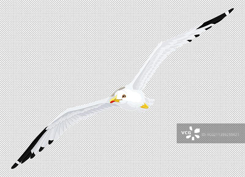 天空中飞翔的大雁图片素材