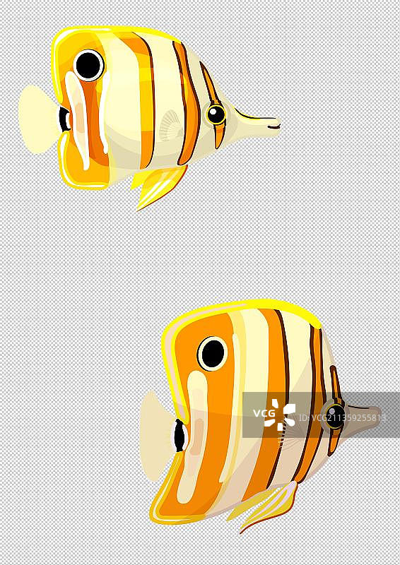 可爱的黄色热带鱼图片素材