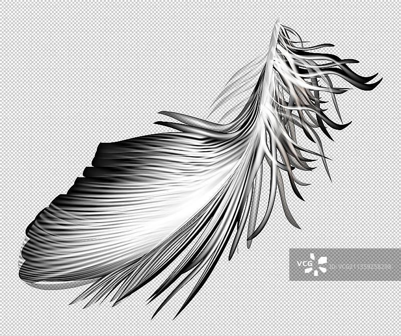 卡通黑色线条的羽毛图片素材
