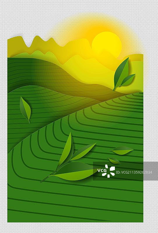 落日的茶园图片素材