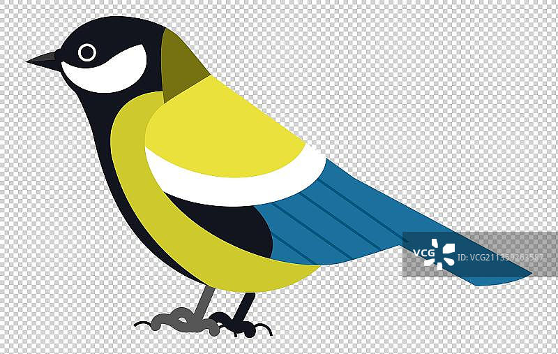 黑黄蓝小鸟图片素材