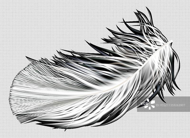 羽毛高清免抠图图片素材