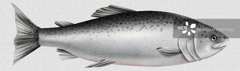 卡通海鱼图片素材