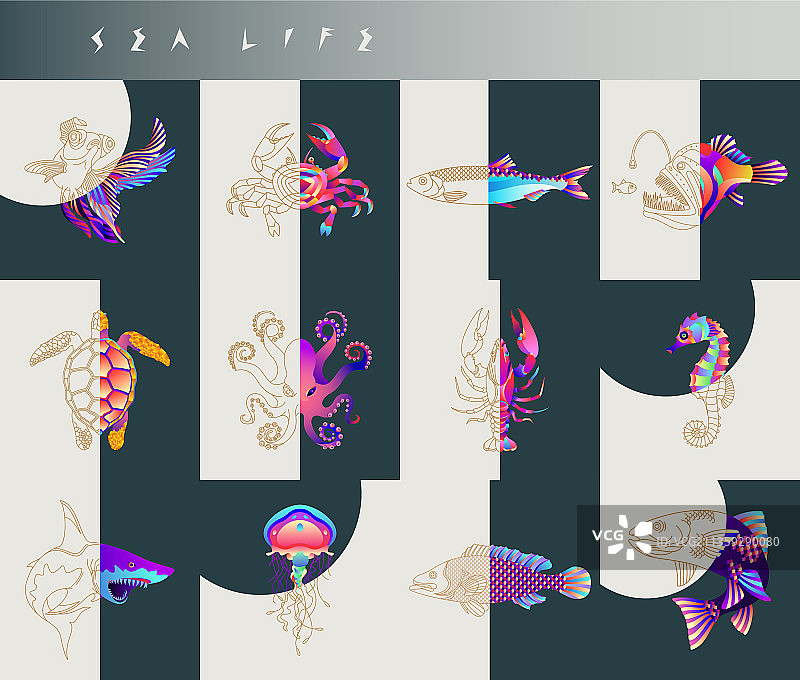 抽象鱼图片素材