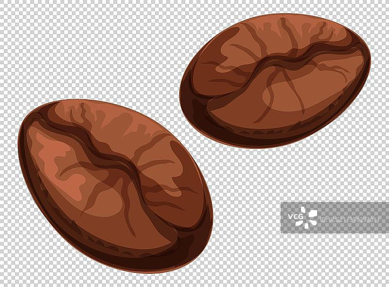 两颗咖色的咖啡豆元素图片素材