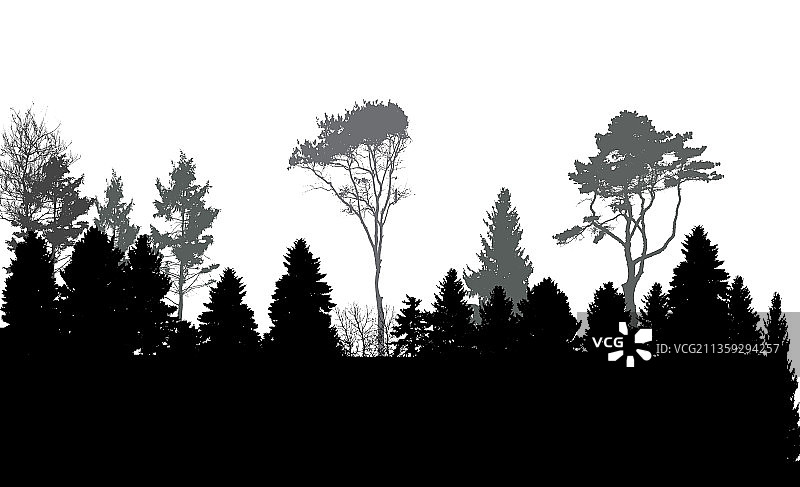 自然树木剪影生态banner图片素材