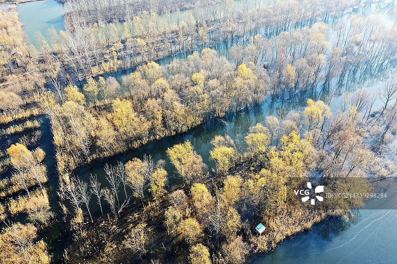 山东枣庄滕州市微山湖湿地公园初冬美景图片素材
