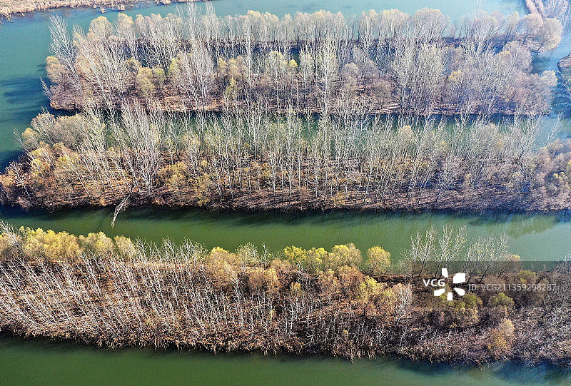 山东枣庄滕州市微山湖湿地公园初冬美景图片素材