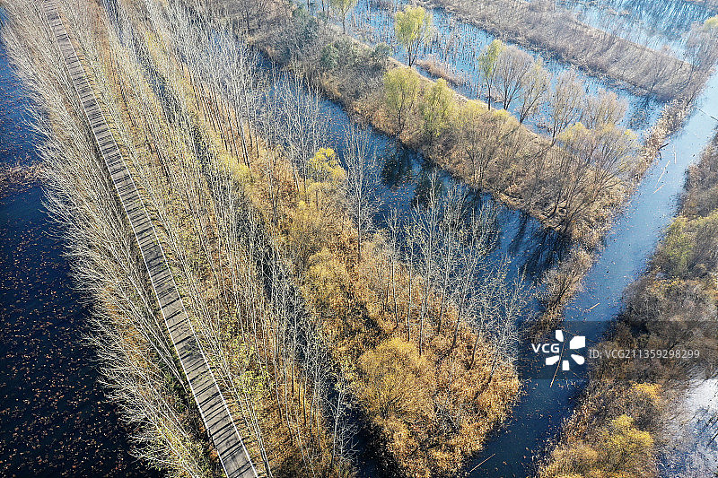 山东枣庄滕州市微山湖湿地公园初冬美景图片素材
