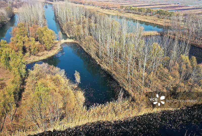 山东枣庄滕州市微山湖湿地公园初冬美景图片素材
