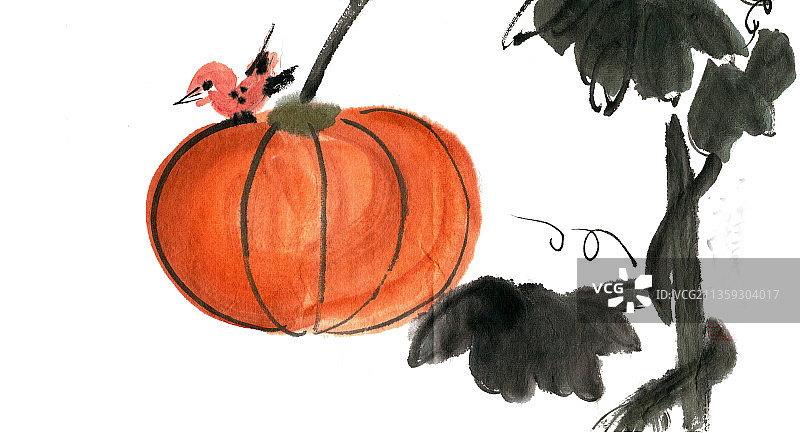 南瓜上的小鸟图片素材