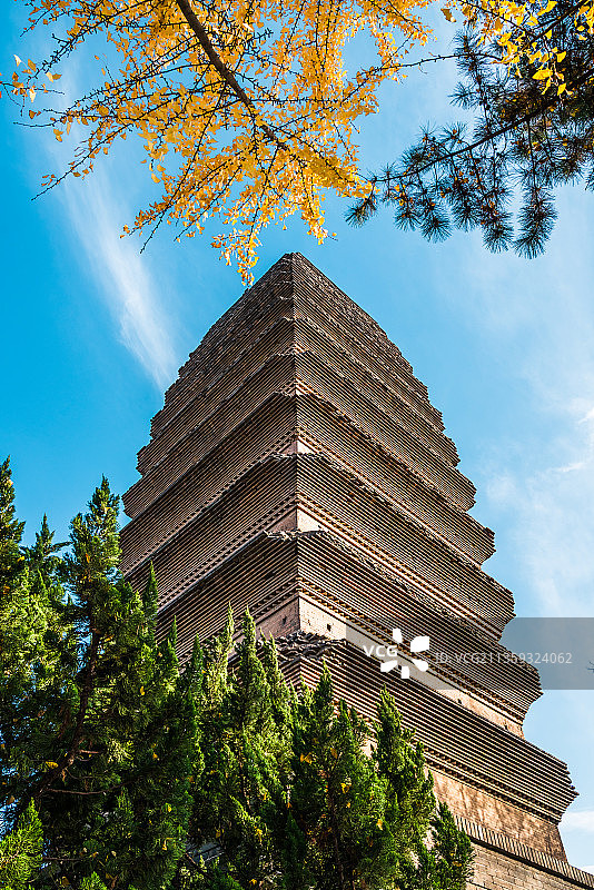 小雁塔之秋图片素材