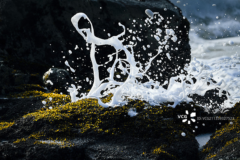 洁白浪花大海馈赠图片素材