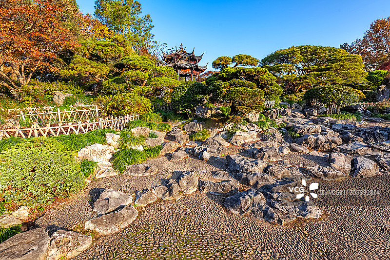 杭州西湖花港观鱼公园牡丹园图片素材