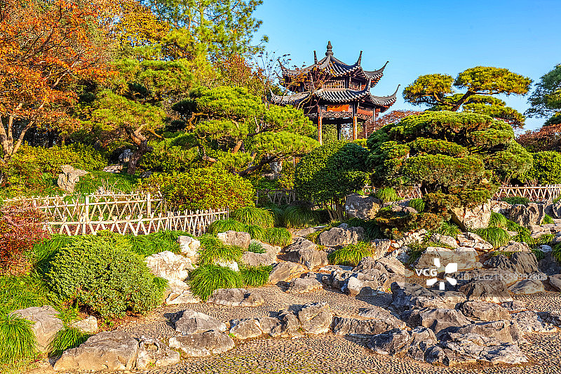 杭州西湖花港观鱼公园牡丹园图片素材