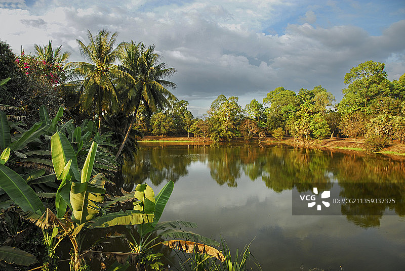 柬埔寨暹粒，乡村，农业，传统农村，热带雨林，枝繁叶茂图片素材