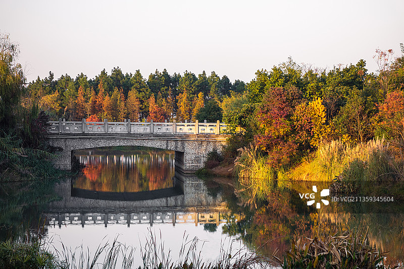 冬季瑶湖郊野森林公园，树木，倒影图片素材