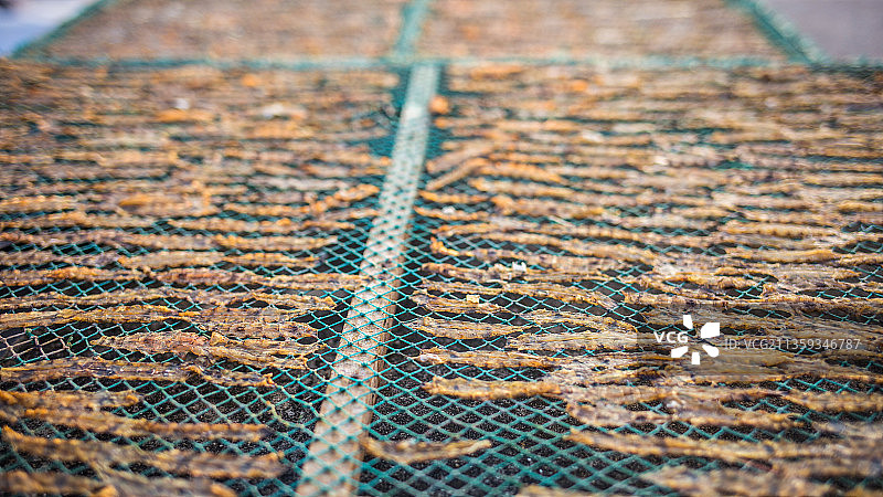 广东汕尾马宫渔港晒皮皮虾干图片素材