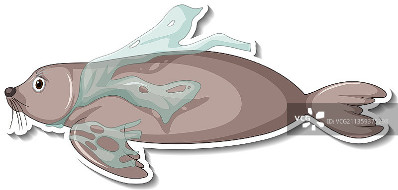 海豹被塑料垃圾缠住图片素材