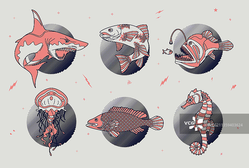 抽象鱼类和海洋生物图片素材