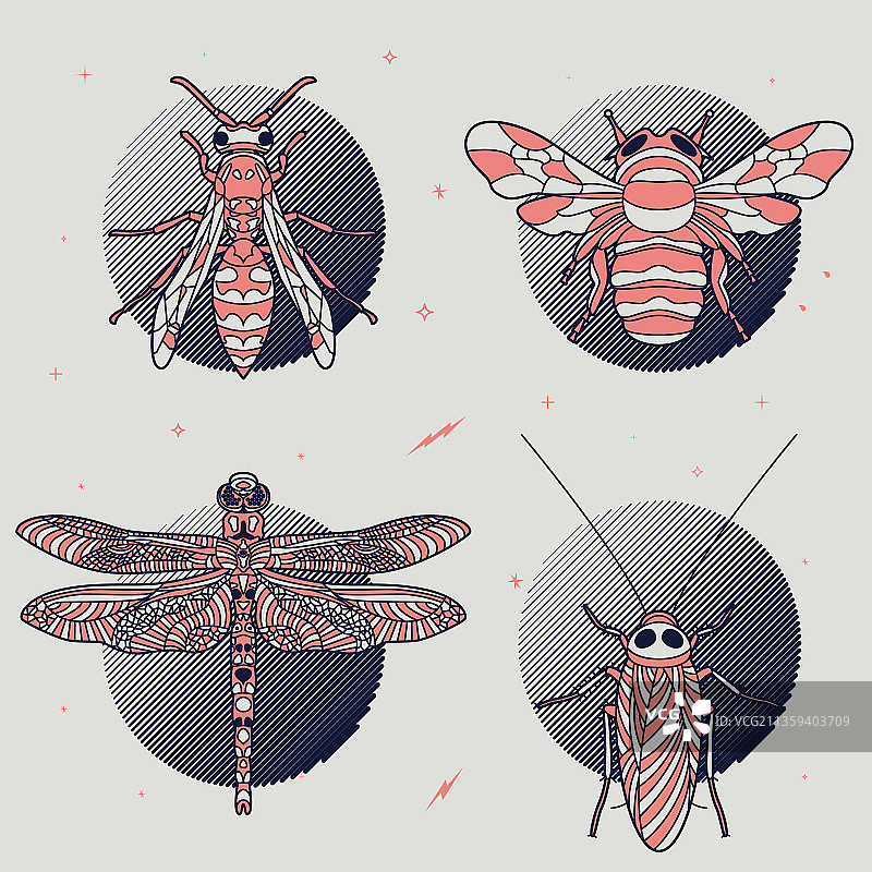 抽象的昆虫图片素材