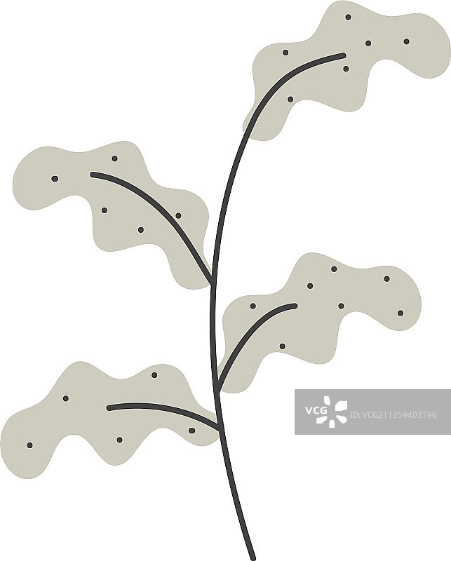 希腊树叶设计图片素材