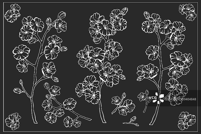 手绘盛开的春天樱花套装图片素材