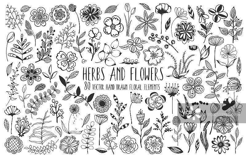 80款手绘花卉元素装饰大合集图片素材
