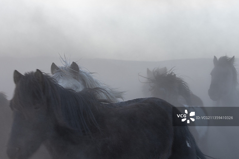 千里马马踏飞燕马群万马奔腾图片素材