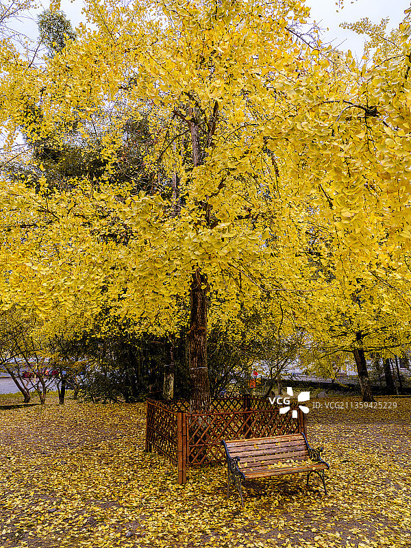 南雄帽子峰风光图片素材