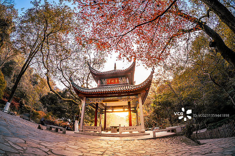 红枫尽染爱晚亭图片素材