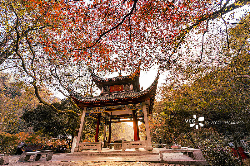 红枫尽染爱晚亭图片素材