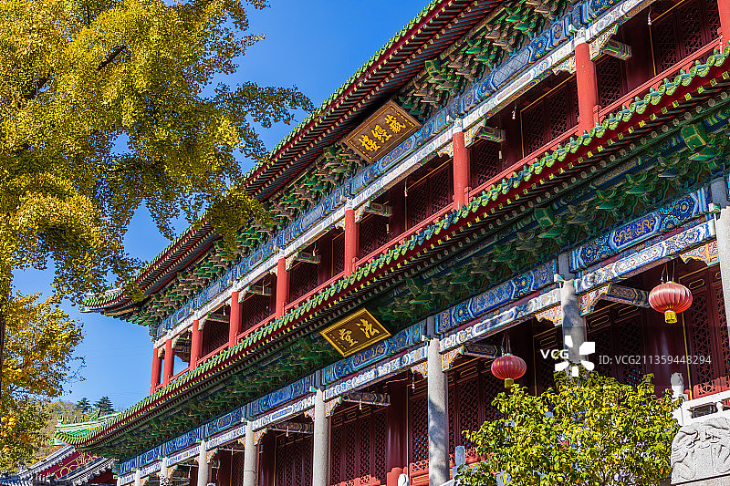 青岛湛山寺日景图片素材