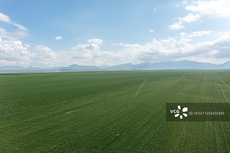 山丹军马场图片素材