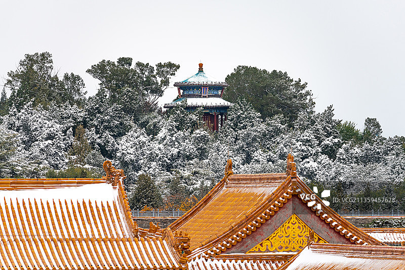 景山周赏亭雪景与故宫金色宫殿屋顶图片素材