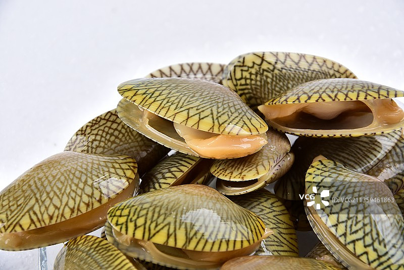 海鲜花甲图片素材