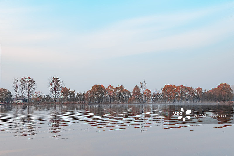 山东省微山湖湿地公园冬季节风光图片素材