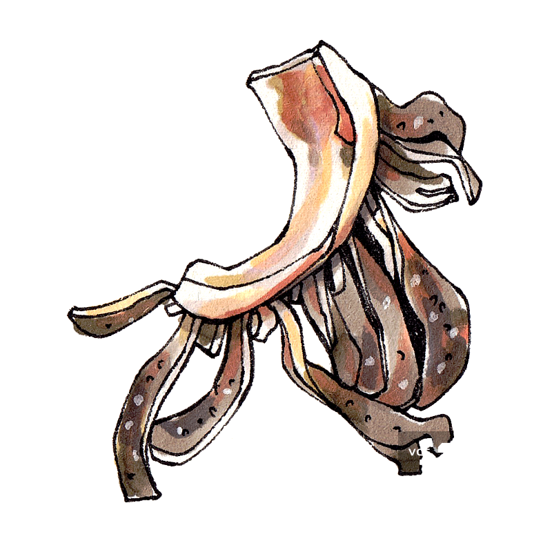 爆肚 内脏 北京传统饮食 小吃 美食手绘插画图片素材