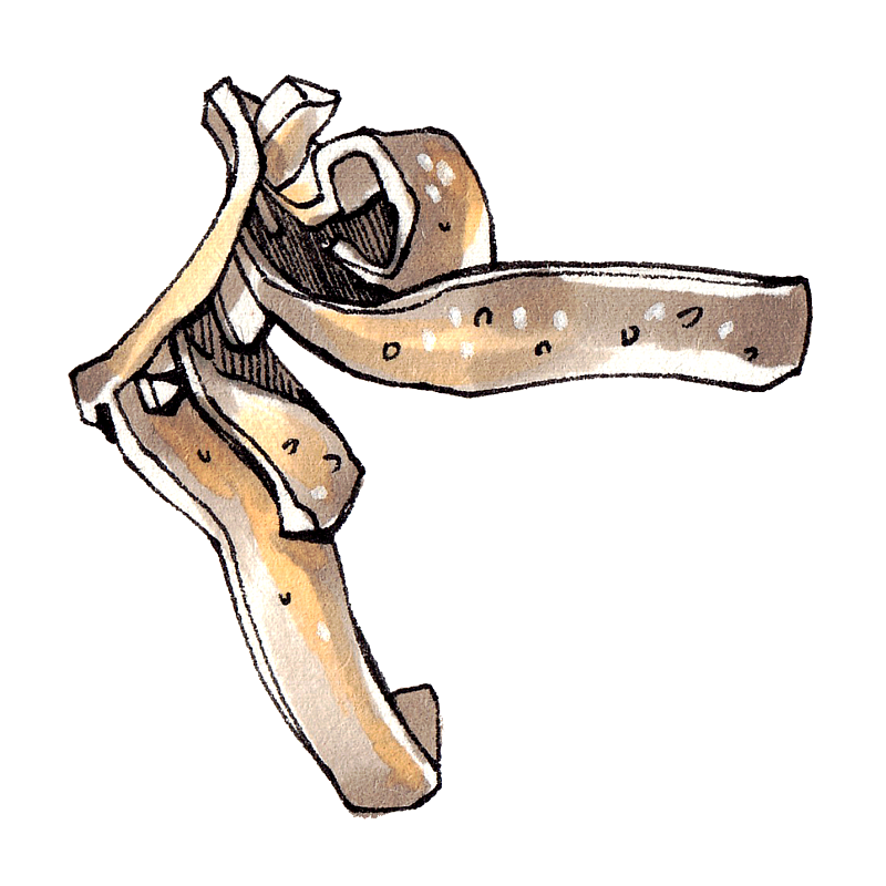 爆肚 内脏 北京传统饮食 小吃 美食手绘插画图片素材