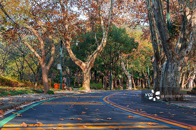 中国江苏省无锡市太湖鼋头渚风景区道路风光图片素材