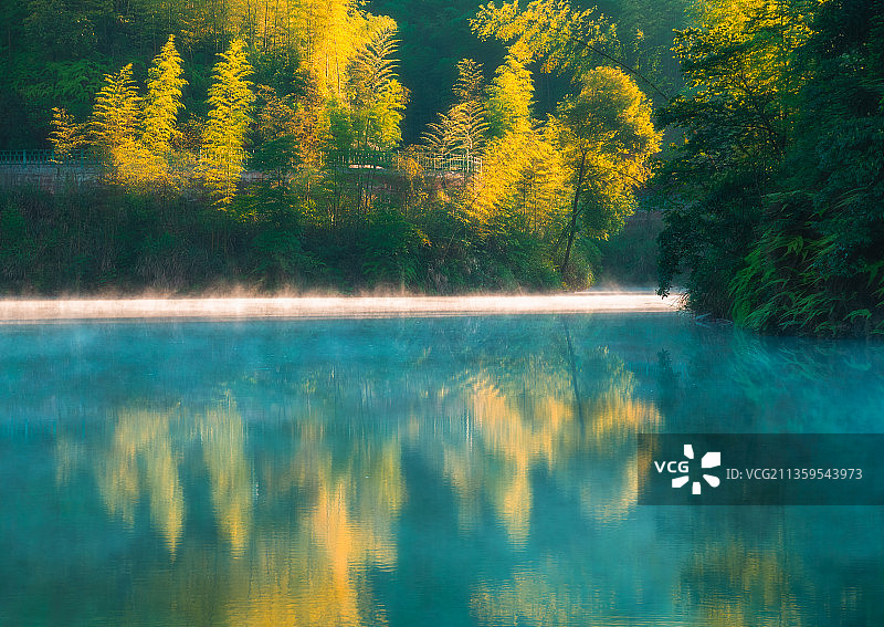 赤水竹海国家森林公园图片素材