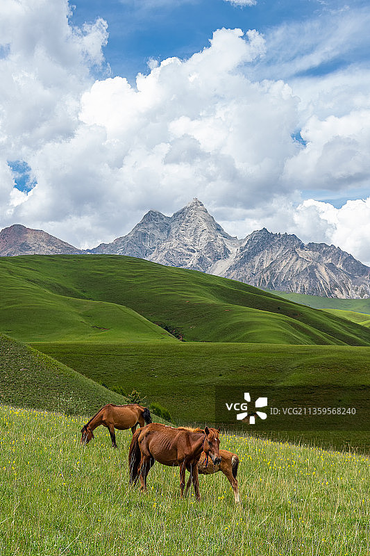 格聂神山图片素材