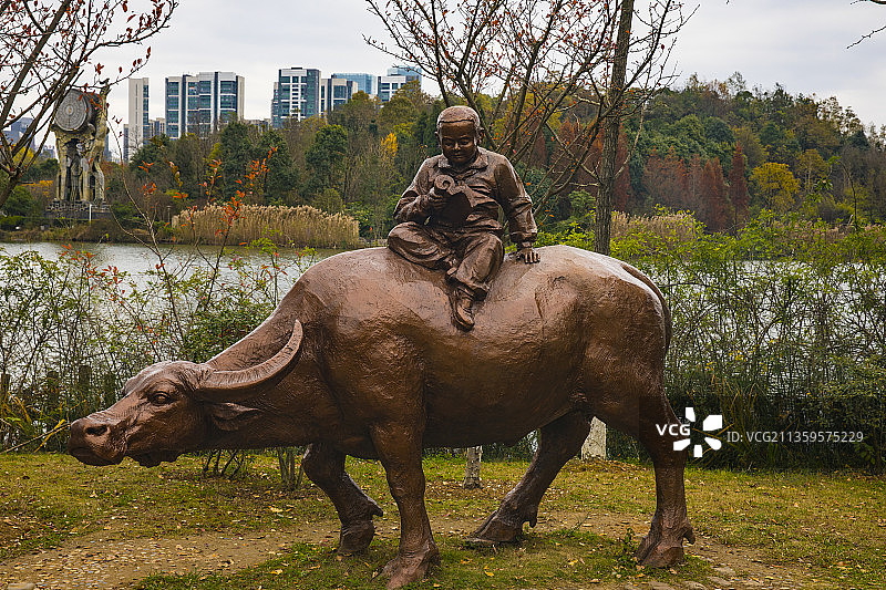 中国贵州贵阳市观山湖区观山湖公园秋日风光2021年11月27图片素材