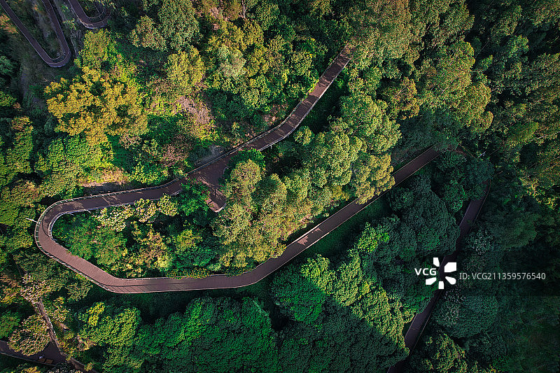 尖岗湖公园登山栈道图片素材